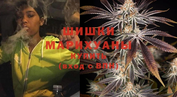 соль ск Заводоуковск
