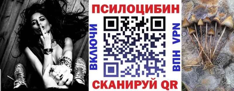 Купить закладки  Солигалич  Псилоцибиновые грибы мухоморы 